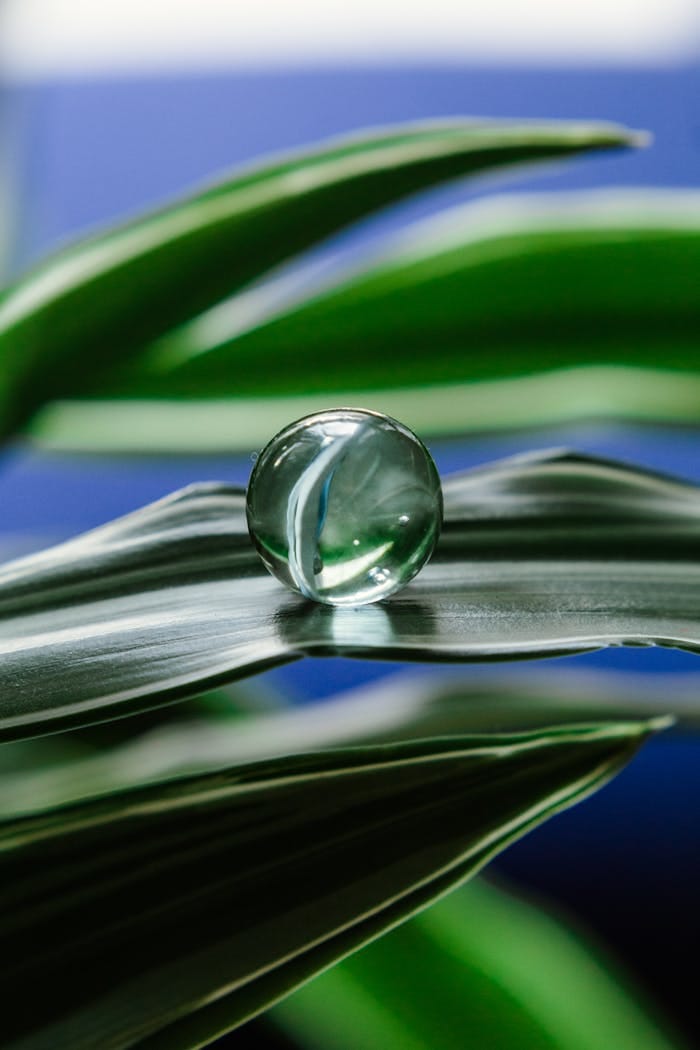 Close-up of a crystal ball resting on a leaf, showcasing nature's beauty.